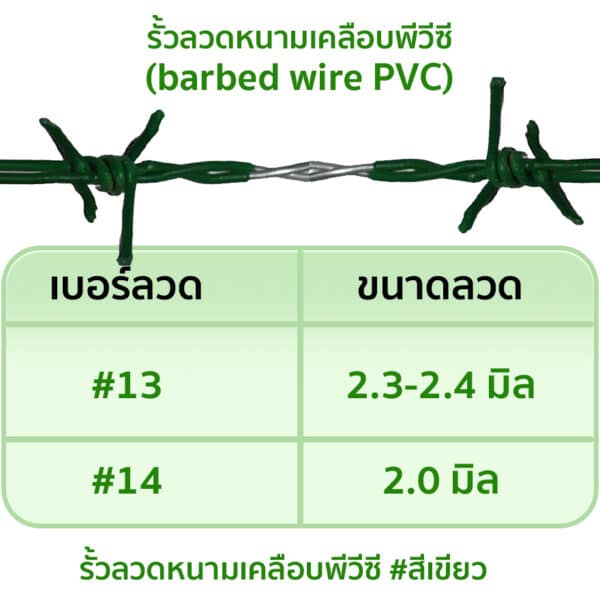 รั้วลวดหนามเคลือบพีวีซี (barbed wire PVC) - Image 4